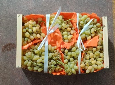 Foto Uva Bianca Varietà Regina Origine Italia Marchio Uva Delle Puglie  3