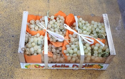 Foto Uva Bianca Varietà Italia Origine Italia Marchio Uva Delle Puglie  1