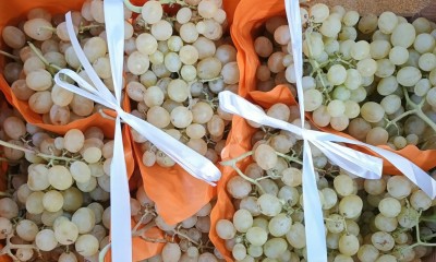 Foto Uva Bianca Varietà Italia Origine Italia Marchio Uva Delle Puglie  2