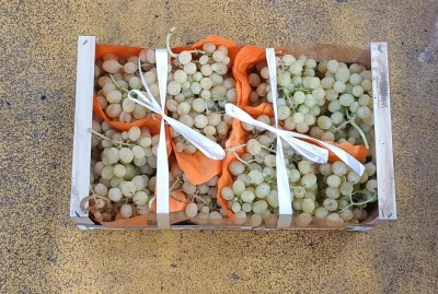 Foto Uva Bianca Varietà Italia Origine Italia Marchio Uva Delle Puglie  3