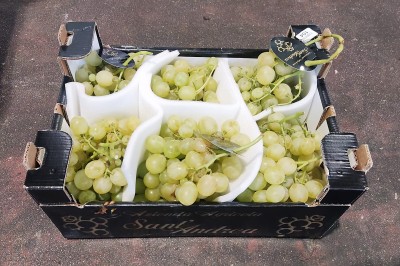 Foto Uva Italia Origine Italia Marchio Sant'Andrrea 1