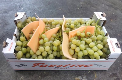 Foto Uva Bianca Origine Italia Marchio Faustino      1