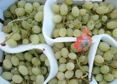 Foto Uva Bianca Varietà Vittoria Origine Italia Marchio Dolcezza D'Autore 2