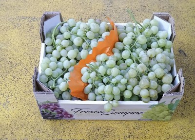 Foto Uva Bianca Origine Italia Marchio Fresca Sempre  1
