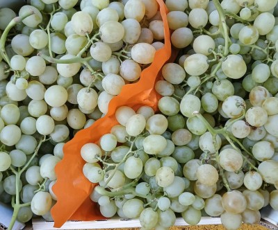 Foto Uva Bianca Origine Italia Marchio Fresca Sempre  2