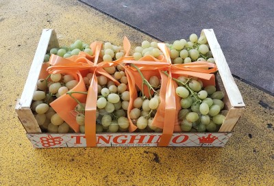 Foto Uva Bianca Italia Origine Italia Marchio Tinghino 1
