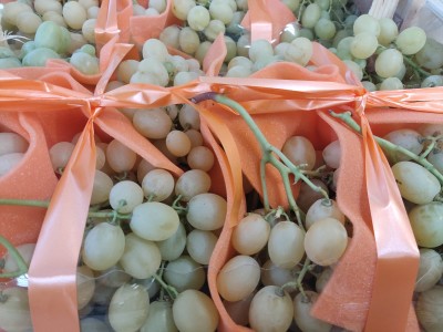 Foto Uva Bianca Italia Origine Italia Marchio Tinghino 2