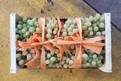 Foto Uva Bianca Italia Origine Italia Marchio Tinghino 3