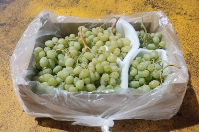 Foto Uva Bianca senza Semi Origine Italia Marchio Sant'Andrea 1