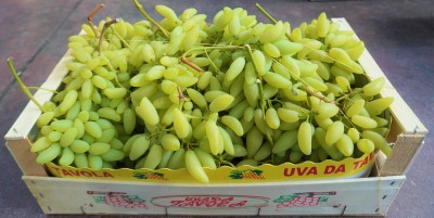 Foto Uva Bianca Varietà Pizzutella origine Italia  marchio Domizi Cesare  1