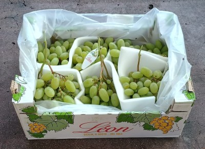 Foto Uva Bianca Varietà Arra Origine Italia Marchio Leon          1