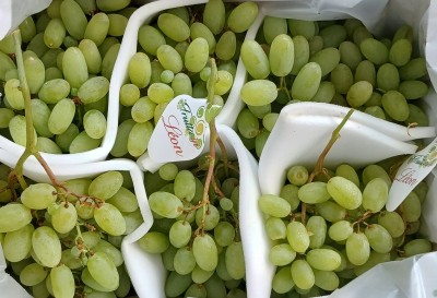 Foto Uva Bianca Varietà Arra Origine Italia Marchio Leon          2
