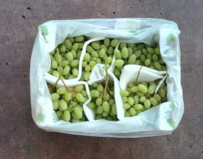 Foto Uva Bianca Varietà Arra Origine Italia Marchio Leon          3