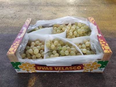 Foto Uva Bianca Aledo Origine Spagna Marchio Velasco 1