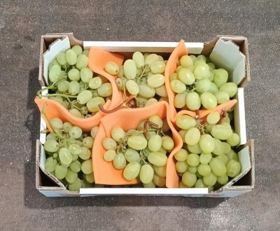 Foto Uva Bianca Varietà Vittoria Origine Italia Marchio La Dora 3
