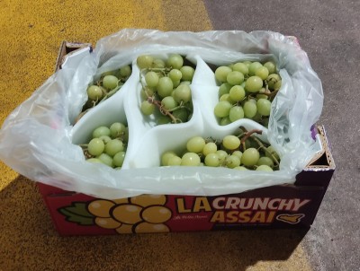 Foto Uva Bianca  Varietà Senza Semi Origine Italia Marchio Crunchy Assai          1