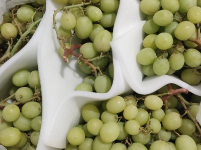 Foto Uva Bianca  Varietà Senza Semi Origine Italia Marchio Crunchy Assai          2