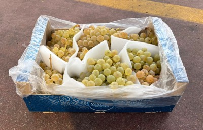 Foto Uva Bianca Varietà Aledo Confezione Da 5 Kg  Origine Spagna Marchio Franbel 1