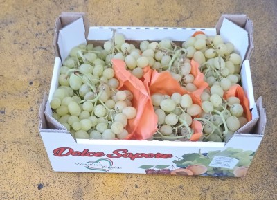 Foto Uva Bianca Varietà Vittoria Origine Italia Marchio Dolce Sapore 1