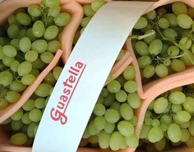 Foto Uva Bianca Varietà Vittoria Origine Italia Marchio Guastalla   2