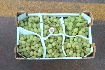 Foto Uva Bianca Varietà Italia 2 Origine Italia Marchio Dolce e Bonta 3