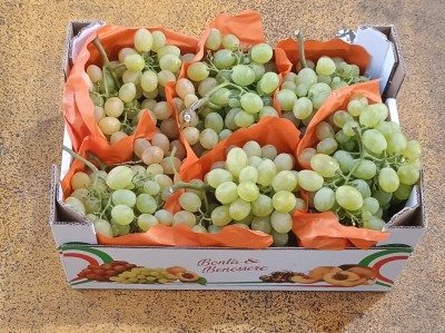 Foto Uva Bianca Vittoria Origine Italia Marchio Bontà  e Benessere       1