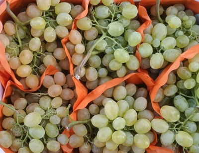 Foto Uva Bianca Vittoria Origine Italia Marchio Bontà  e Benessere       2