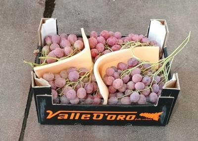 Foto Uva Red Glob Origine Italia Marchio Valle D'oro  1