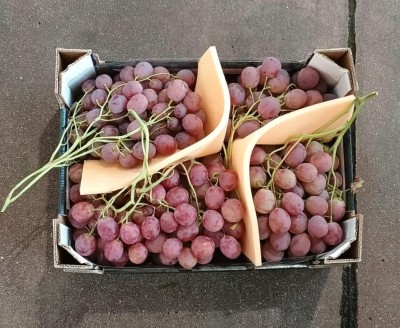 Foto Uva Red Glob Origine Italia Marchio Valle D'oro  3