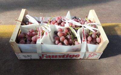 Foto Uva Rosè Origine Italia Marchio Faustino 1