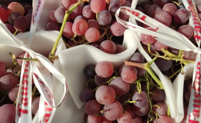 Foto Uva Rosè Origine Italia Marchio Faustino 2