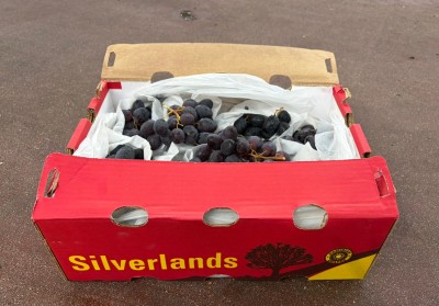 Foto Uva Nera Sweet Globe Calibro Xl Origine Namidia Marchio Silverlad 1