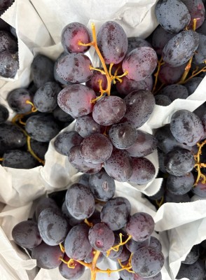 Foto Uva Nera Sweet Globe Calibro Xl Origine Namidia Marchio Silverlad 2