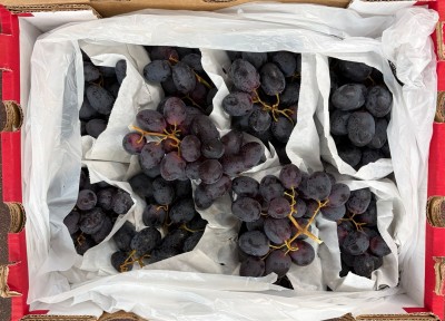 Foto Uva Nera Sweet Globe Calibro Xl Origine Namidia Marchio Silverlad 3