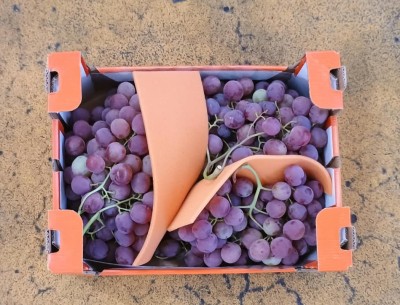 Foto Uva Nera Varietà Rose' Origine Italia Marchio Navigare            3