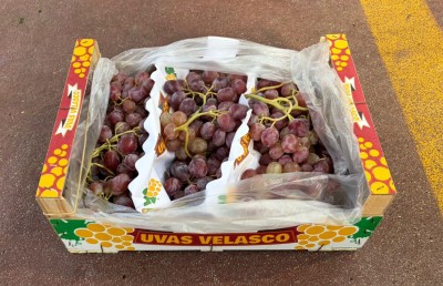 Foto Uva Red Globe Origine Spagna Marchio Velasco     1