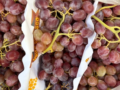 Foto Uva Red Globe Origine Spagna Marchio Velasco     2