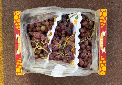 Foto Uva Red Globe Origine Spagna Marchio Velasco     3
