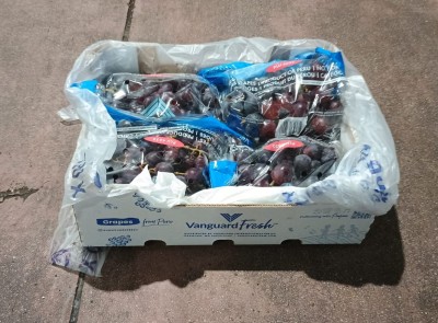 Foto Uva Nera Calibro XL Origine Perù Marchio Vanguard  1