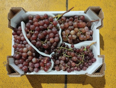 Foto Uva Rose Origine Italia Marchio Lara  2