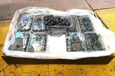 Foto Uva Nera Varietà Sable Calibro Xl Origine Cile Marchio Raimondo            1