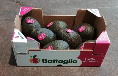 Foto Avocado Hass Calibro 8 Origine Cile Marchio Battaglio        1