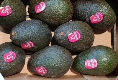 Foto Avocado Hass Calibro 8 Origine Cile Marchio Battaglio        2