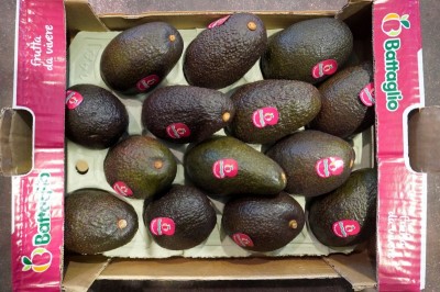 Foto Avocado varietà Hass  Origine Perù    Calibro 14   marchio Battaglio             3