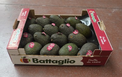 Foto Avocado Varietà Hass Calibro 16 Origine Chile Marchio Battaglio    1