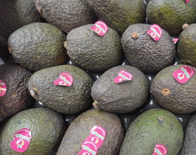 Foto Avocado Varietà Hass Calibro 16 Origine Chile Marchio Battaglio    2