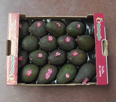Foto Avocado Varietà Hass Calibro 16 Origine Chile Marchio Battaglio    3
