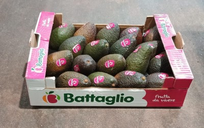 Foto Avocado Varietà Hass Origine Chile Calibro 18  Marchio Battaglio        1