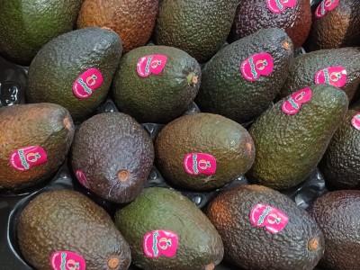 Foto Avocado Varietà Hass Origine Chile Calibro 18  Marchio Battaglio        2
