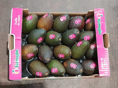 Foto Avocado Varietà Hass Origine Chile Calibro 18  Marchio Battaglio        3